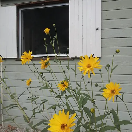 Le De Lilie * Bassignac