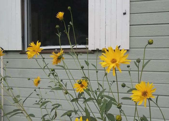 Le De Lilie * Bassignac